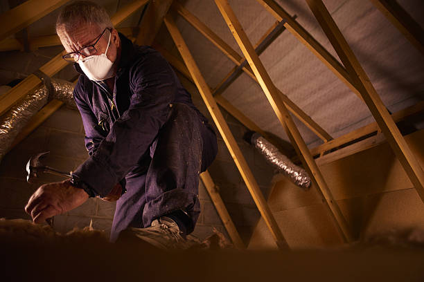 Best Insulation Maintenance and Repair in Willimantic, CT
